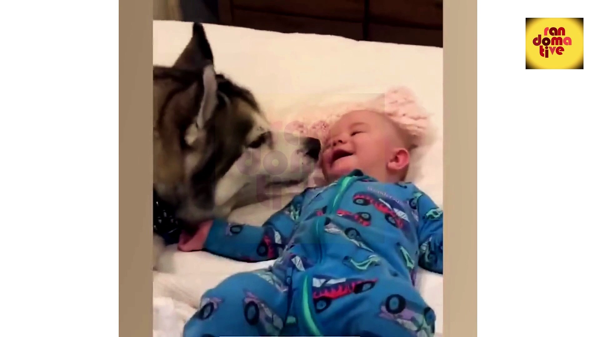 ⁣Animals Fun Time | Funny Animals Videos | Pets Hilarious Compilation | Animals Funny Moments |