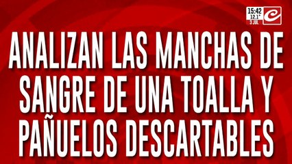 Caso Loan: fotos exclusivas de las manchas de sangre de una toalla