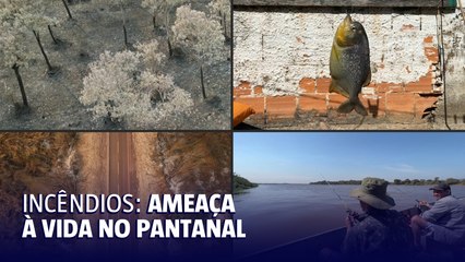 Comunidades do Pantanal enfrentam desafios com aumento de queimadas na região