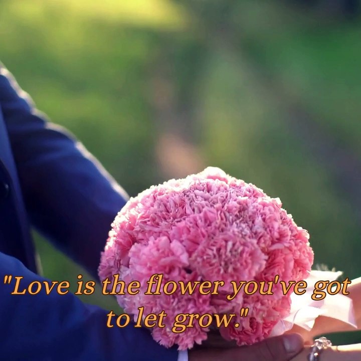 Inspiredd Quotes