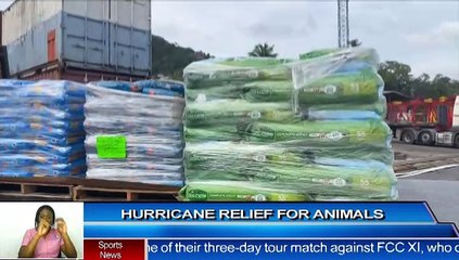 RELIEF ITEMS FOR ANIMALS HIT BY HURRICANE