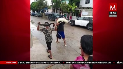 En Tamaulipas, van 50 cocodrilos capturados en las calles por aumento de agua en las lagunas