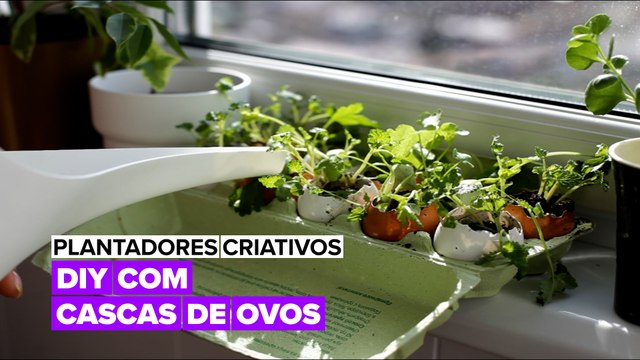 Plantadores Criativos: DIY com cascas de ovos
