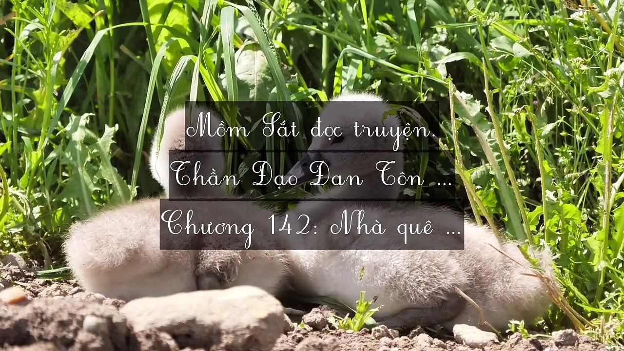 Chương 141-150 Thần Đạo Đan Tôn