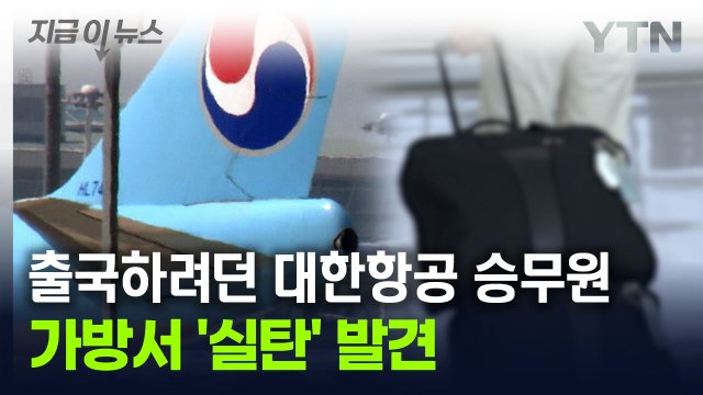 승무원 가방서 발견된 '실탄'...대한항공 고의성 없다 [지금이뉴스] / YTN