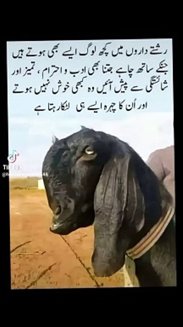 Funny Comedy