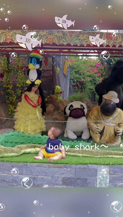 Baby shark