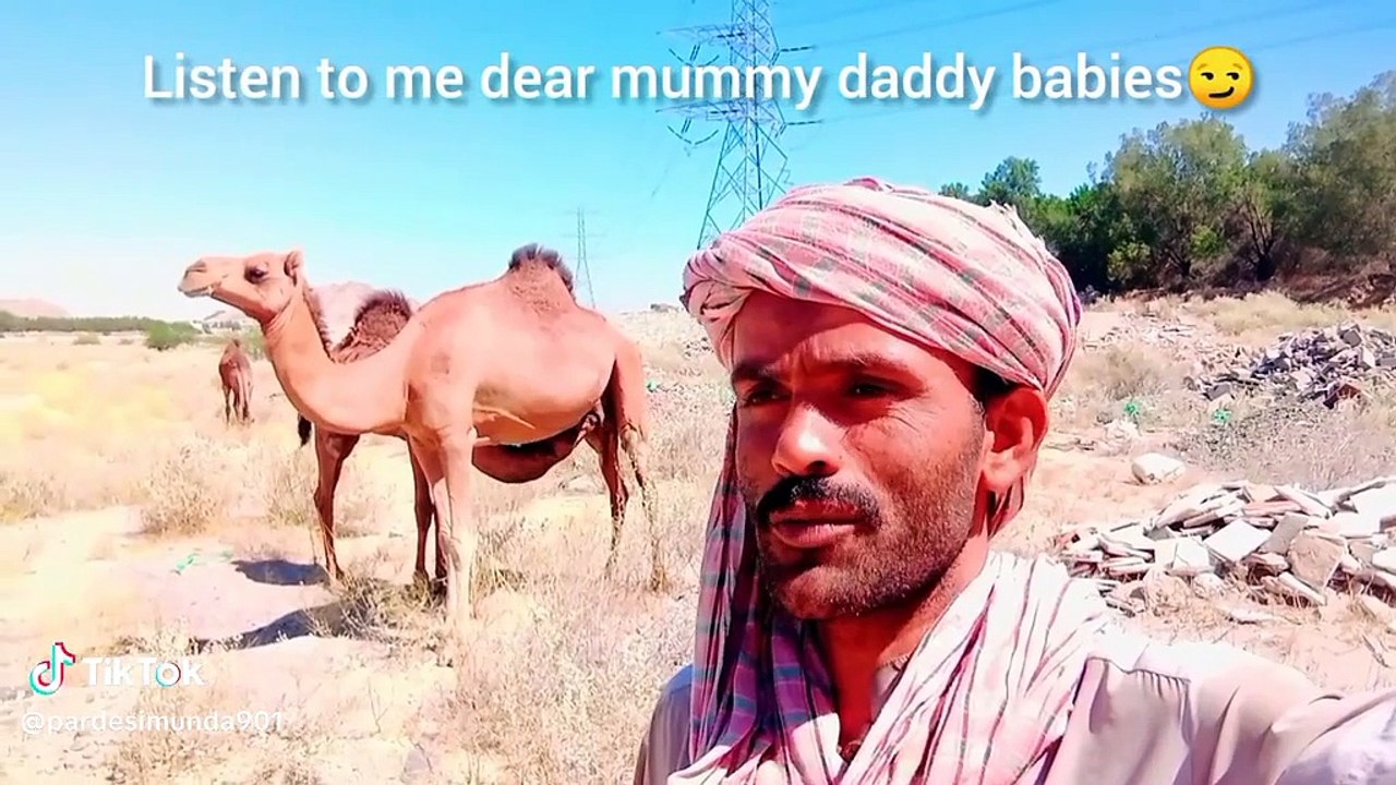 Fanny video