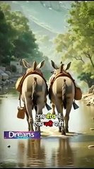 Story of failure: How we start copying someone after seeing them  !_✔️_#SuccessStory_#ShortsVideo(240p)