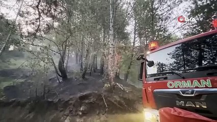 Düşen yıldırım orman yangınlarına sebep oldu