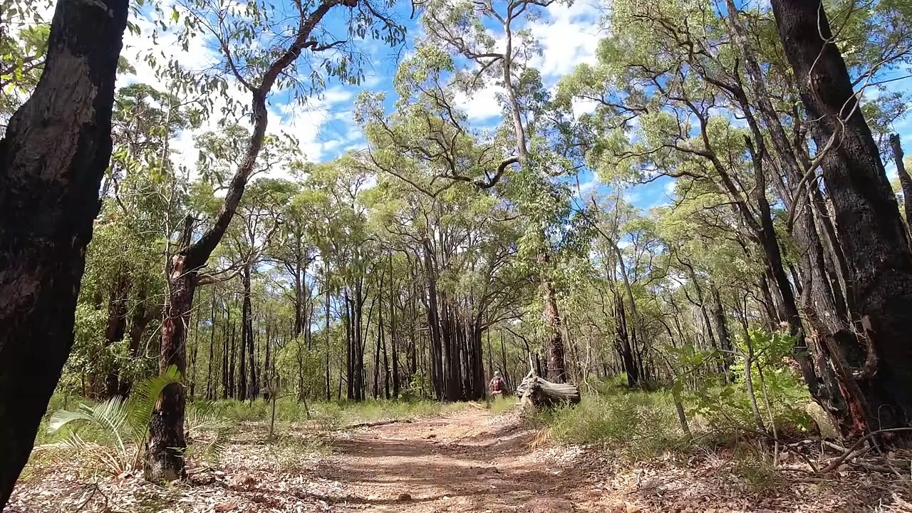 Back On The Bibbulmun Track Pack Load Out Of The Helikon-Tex Bergen