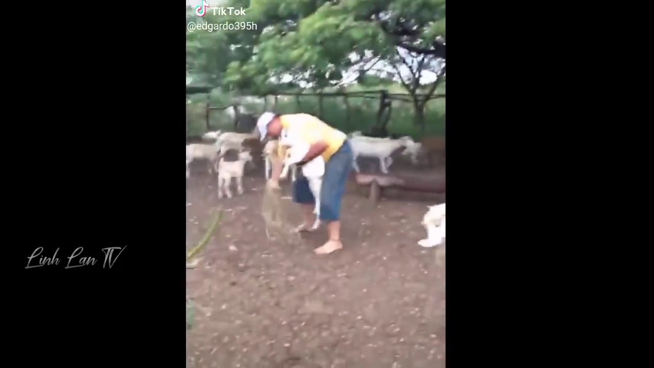 Tổng Hợp Những Khoảnh Khắc Hài Hước Của Năm ------ PART 5(720P_HD)