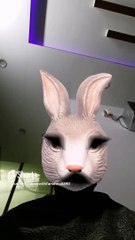 khawab me khargosh (rabbit) safeed rang ka dekhne ki tabeer