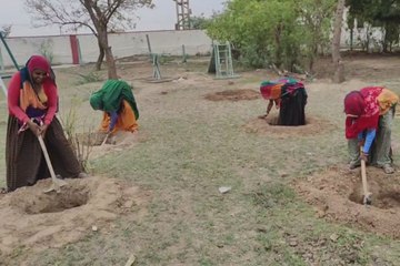हराभरा होगा विद्यालय आंगन, 3300 पौधे लगाए जाने का लक्ष्य