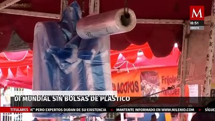 Cada 3 de julio se conmemora el Día Internacional Libre de Bolsas de Plástico
