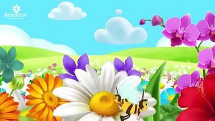 Ik Chirya BOLI chu chu