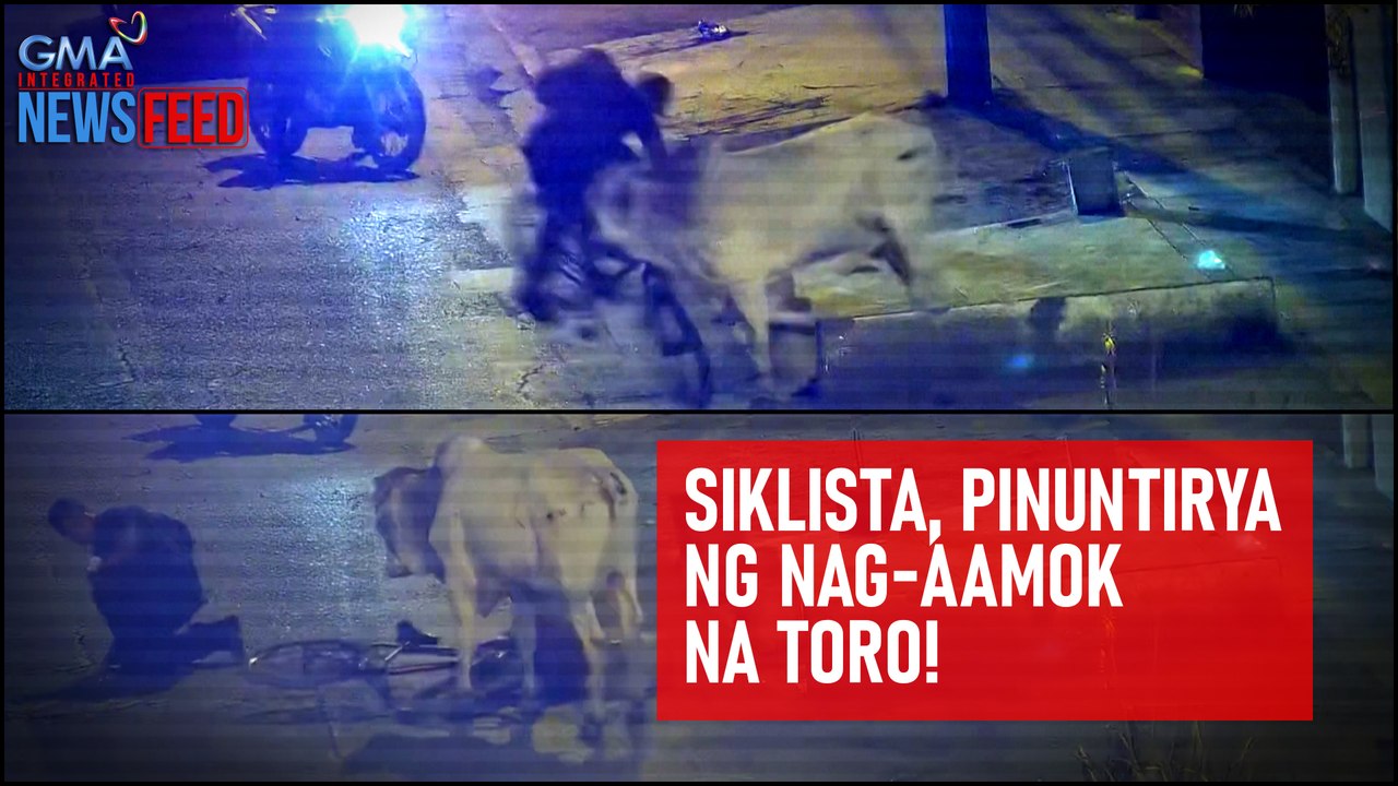 Siklista, pinuntirya ng nag-aamok na toro! | GMA Integrated Newsfeed