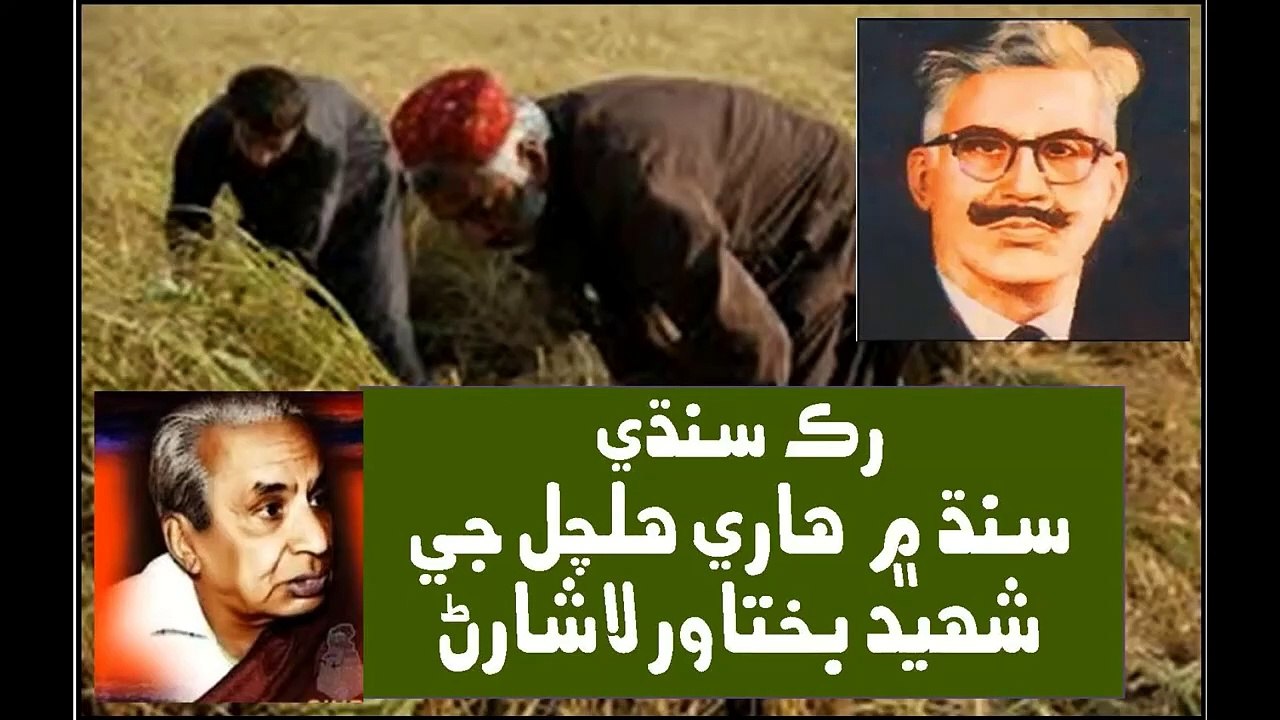Ruk Sindhi ___ Shaheed Bakhtawar Lashari, A Peasant leader of Sindh