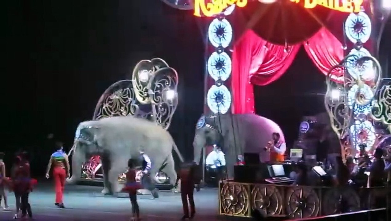 Elephants show