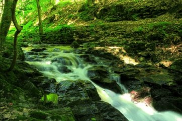 3M TV Stream water flow green, deep, forest, spring, sleep, Relax, chill, nature, Wild Ocean Sounds