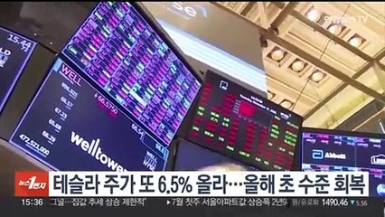 테슬라 주가, 또 6.5% 올라…올해 초 수준 회복