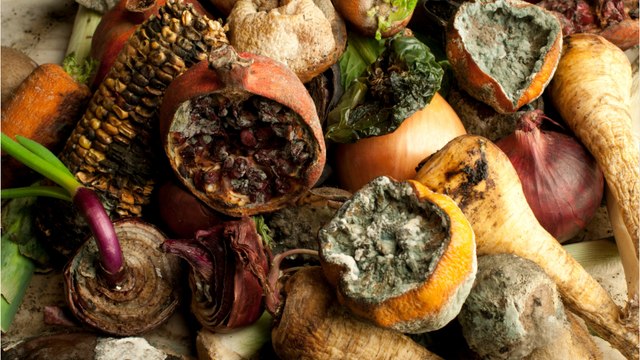Virologin erklärt: Der richtige Umgang mit schimmeligem Obst und Gemüse