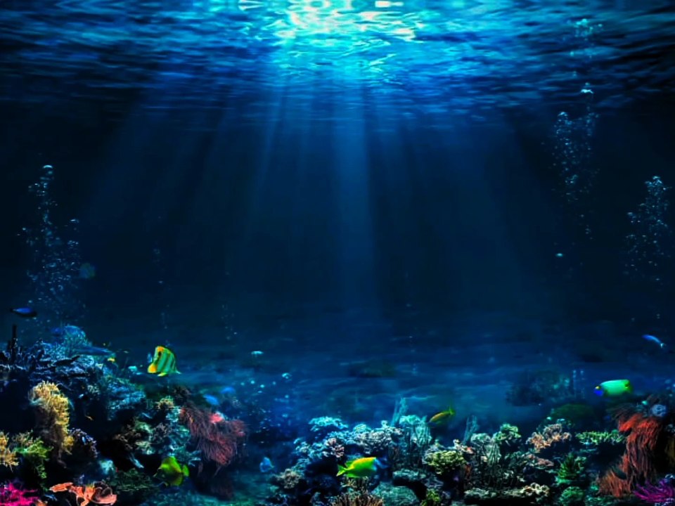 Royalty Free Cool Underwater background Loop