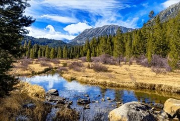 3M, TV, Stream water flow green deep forest spring sleep Relaxation nature sounds adventure