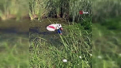 Bataklığa saklandı ama kaçamadı