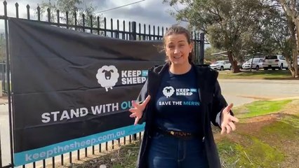 Holly Ludeman, The Livestock Collective | Farm Weekly