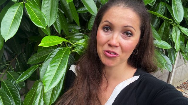 Unusual Polling Stations: Pubs, hairdressers and schools to become polling stations