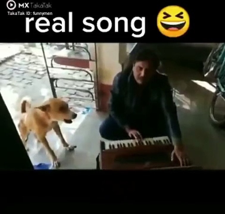 Funny Video For Dog Singing