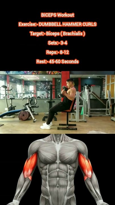 ❌ DUMBBELL HAMMER CURLS ✔️  How can I Build my BICEPS Bigger?  #heermlgangaputra #naturalbodybuilding #workout #exercise #fitness #gym #muscle #training