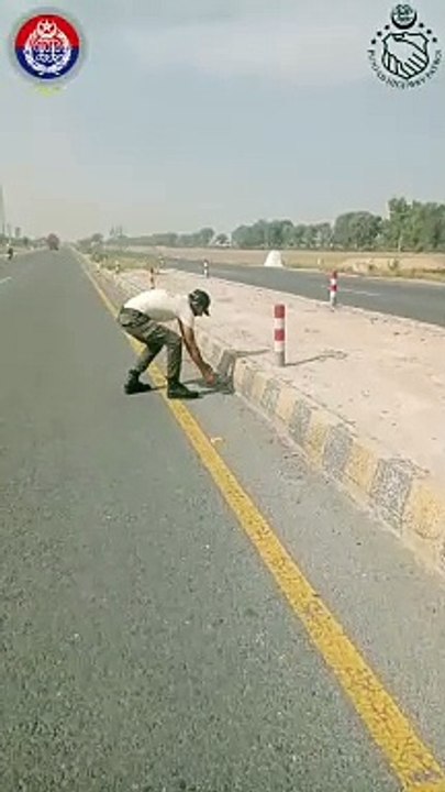 VID-20240519-WA0181
