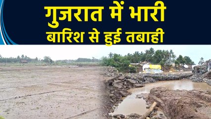 Gujarat में Heavy Rain की वजह से फसलें हुई तबाह, किसानों को हुआ भारी नुकसान