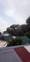 Murree weather update today live