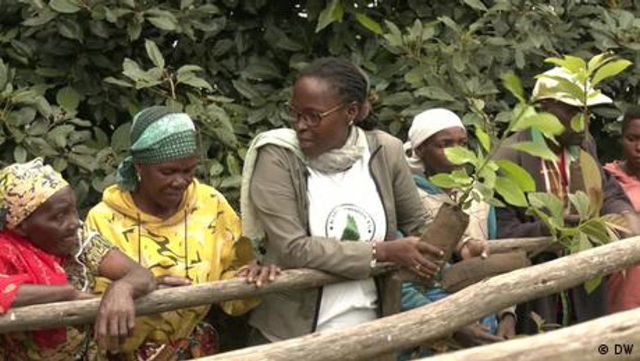 Burundi tackling malaria by reviving endangered plants