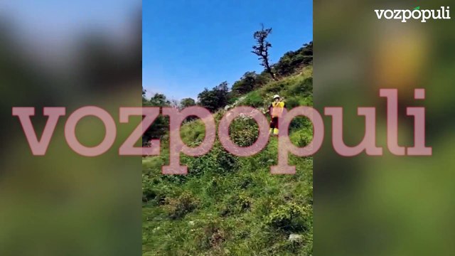 Los bomberos rescatan a un perro que cayó 10 metros en el monte