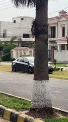 Dead…. Drop toyota Corolla Altis