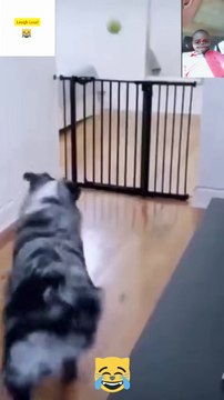 #AwkwardMoments#UnintentionalComedy#EpicFail#OopsIDidItAgain#CantMakeThisUp#LaughingAtMyself#WhenYouKnowYouKnow#LifeIsWeird#RandomLOL#W