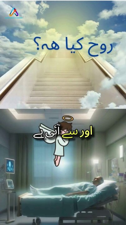 Rooh Ka Wajood - #rooh #allah #islam #islamic #islamicshorts #knowledge #deeneislam #viral #shorts