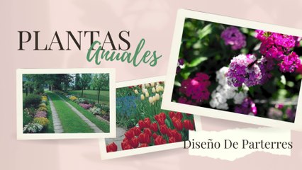 [#Podcast] Parterres: Composición y cuidados - Flower beds: Composition and care