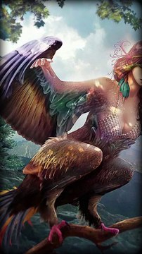 Hazrat Adam (A.S) Sy Pehly Duniya Mein Kiya Tha