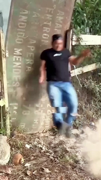 Funniest knockouts of the year  __I sincerely hope you enjoy it_  please follow _funny_animals_6 if you wanna laugh every day  ___funnycat _funnyanimals _cutecats _cuteanimals _trending _memes _animalsvideos _memevideo _animals (