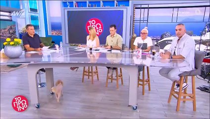 Δέσποινα Μοιραράκη Πέρασε με κόκκινο φανάρι, έγινε μια μίνι καταδίωξη & της αφαιρέθηκε το δίπλωμα!
