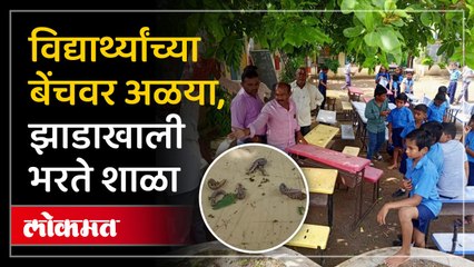 जिल्हा परिषद शाळेला वर्ग खोल्या नाहीत
