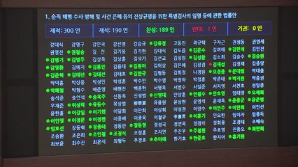 '채상병 특검법' 정부 이송..."15일 내 재의요구 가능" / YTN