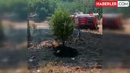 Elazığ'da korkutan yangın: Alevler evlere sıçramadan söndürüldü