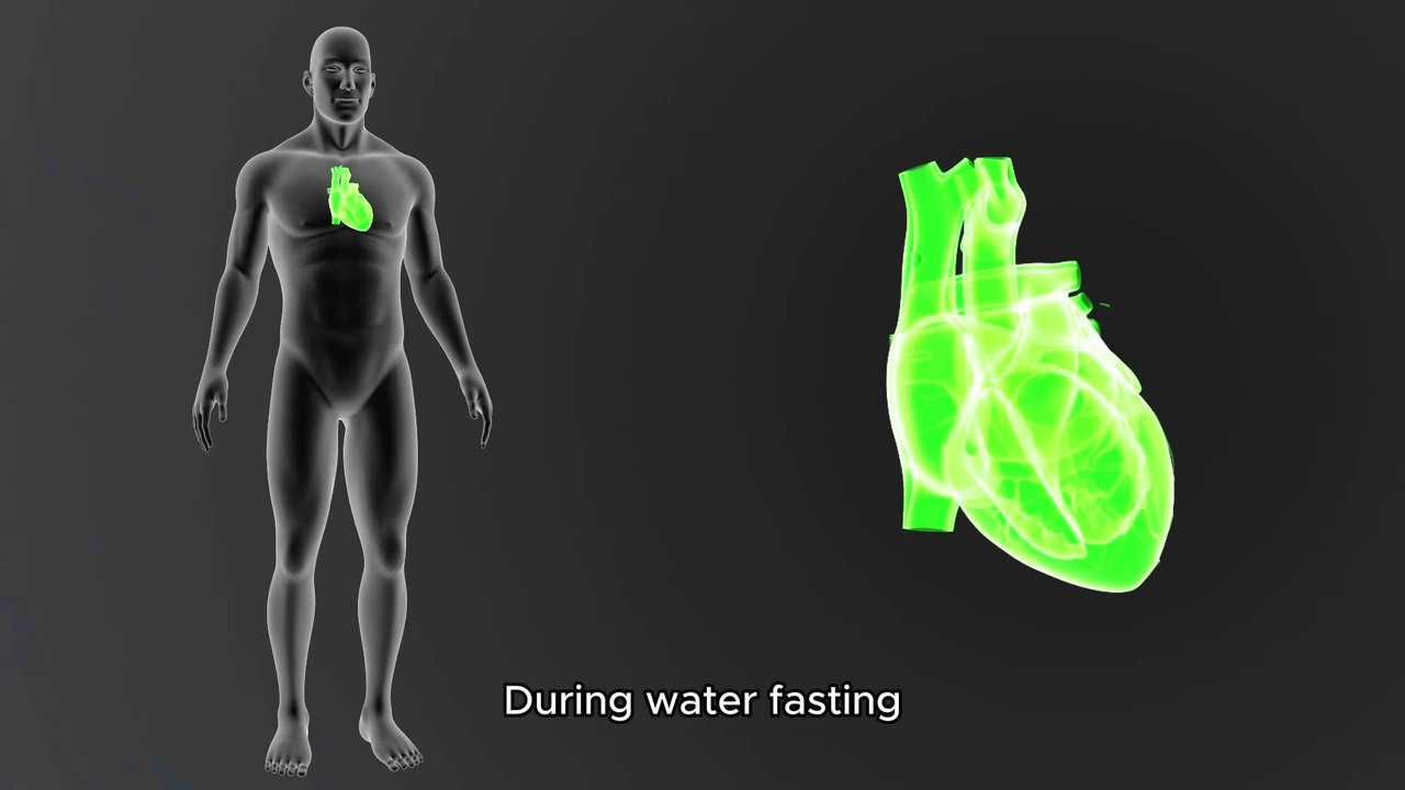 Water Fasting: Risk And Health Benefits | Is Water Fasting Safe For All | Health And Beauty Tips |