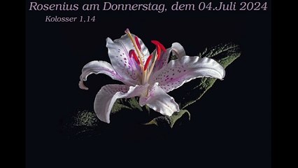 Rosenius am Donnerstag, dem 04. Juli 2024 zu Kolosser 1,14